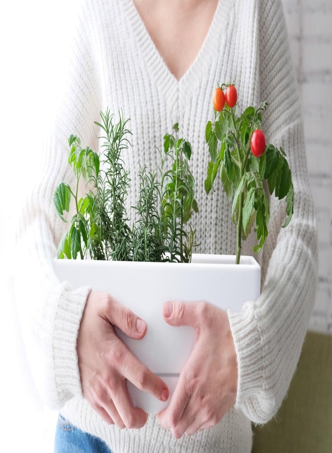 D'vine Dev 12 Inch Window Box Planter, Rectangle Plastic Herb Planter with Drainage Holes and Saucer, Indoor Succulent Cactus Vegetable Pot for Windowsill, Garden Balcony, White, Set of 1, 76-X-A-1 - Image 4